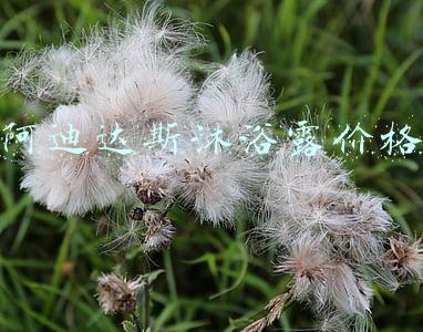 阿迪达斯沐浴露价格