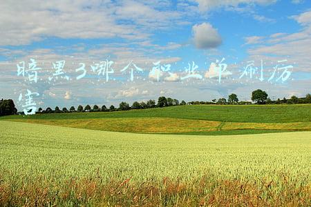 暗黑3哪个职业单刷厉害