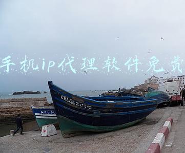 代理ipapp(动态IP代理软件_动态代理IP的工作原理)