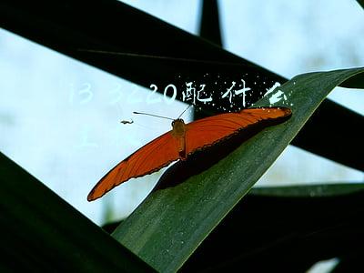 i3 3220配什么主板