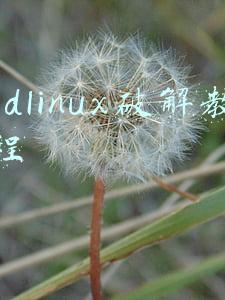 cdlinux安装教程(最美Linux：才试用不到3天，就成功让我放弃了win10)