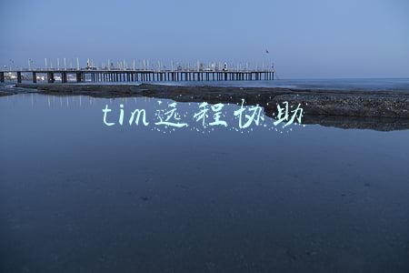 tim远程协助