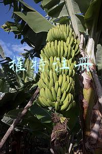 推特注册下一步点不了(如何高效管理多个推特Twitter账户？)
