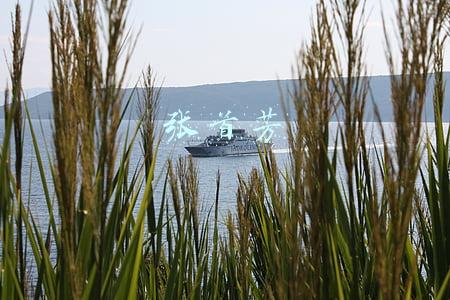 张首芳