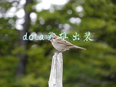 Dota英雄出装(DOTA有历史——那些年，我们出过的装备)