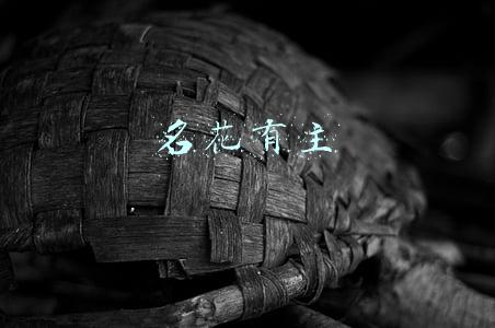 名花有主男的怎么说(追求名花有主的女孩子的男人是什么心态？)