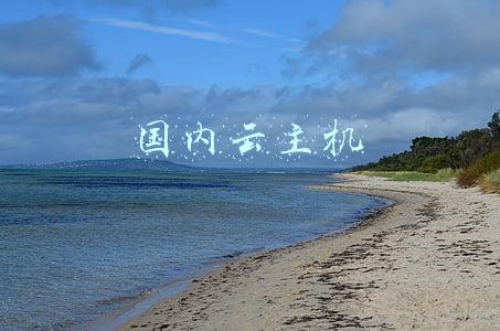 国内云主机