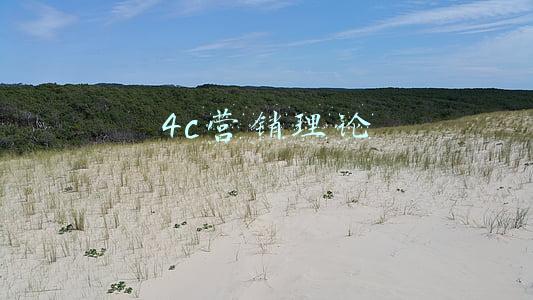 4c营销理论