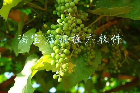 淘宝店铺推广软件