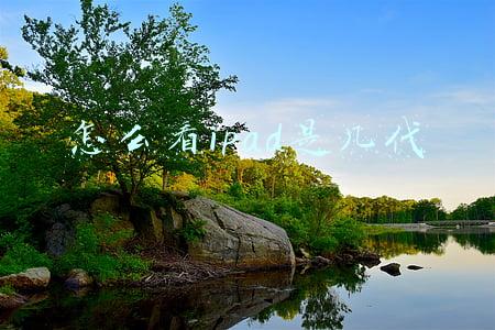 怎么看iPad是几代的(a1584是ipad第几代)