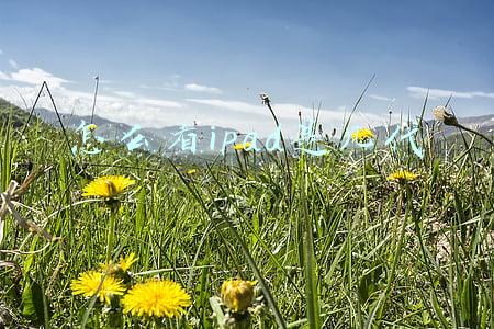 苹果官网怎么看ipad是几代(如何在苹果官网查你的苹果系列是第几代的)