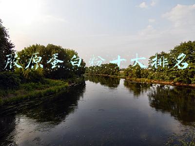 日本胶原蛋白粉十大排名(日本10款超人气胶原蛋白，开启你肌肤年轻的秘密)