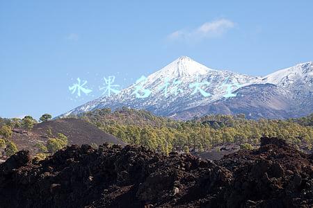 水果名称大全500种(小时候常见的10种野果，9成人叫不全名字，你能叫上几个？)