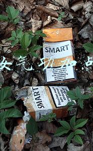 dnf2022女气功加点(DNF女气功CP、白金徽章、技能加点选择，这样玩才强)