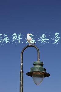 开个海鲜店要多少钱