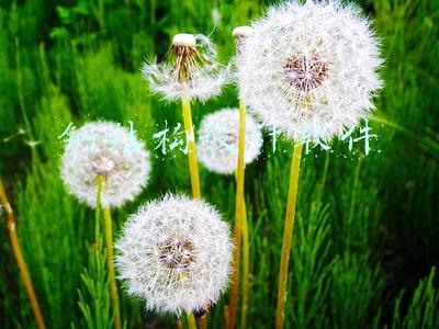 钢结构设计软件手机版(这款钢结构快速计算软件，能用于复杂的钢结构、混凝土结构等项目)