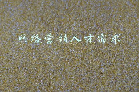网络营销人才需求