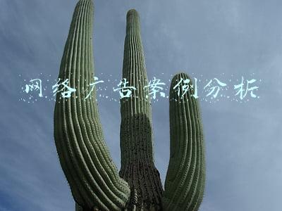 网络广告案例分析