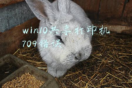 win10共享打印机709错误卸载补丁(Win10连接网络打印机错误709怎么解决？)