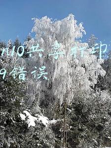 win10共享打印机709错误