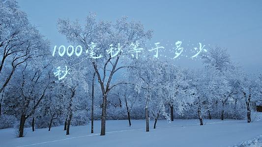 10000毫秒等于多少秒(质能转换有多厉害？核聚变只用了一点点，就惊天动地了)