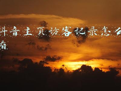抖音主页访客记录怎么看