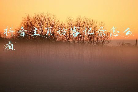 抖音主页访客记录怎么看