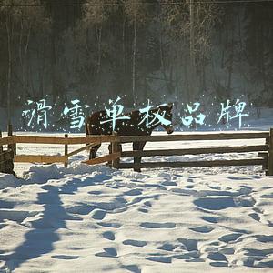滑雪单板品牌