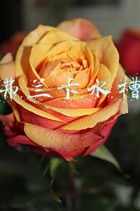 弗兰卡水槽下水安装图(厨房水槽有哪些很赞的设计？)