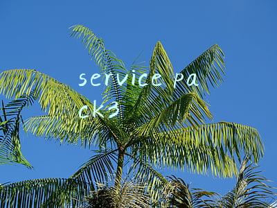 service pack3