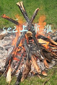 苹果se2上市准确时间