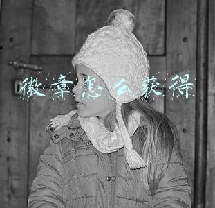 dnf徽章怎么获得(DNF：回归没有徽章获取渠道？这些便宜的徽章都可以入手)