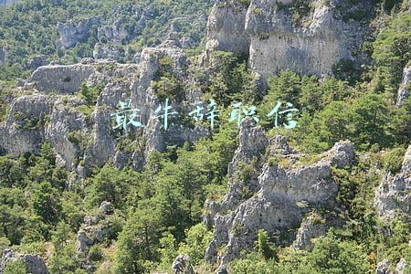 全网最牛辞职信(史上最牛辞职信合集，每个字背后都藏着巨大风险！)