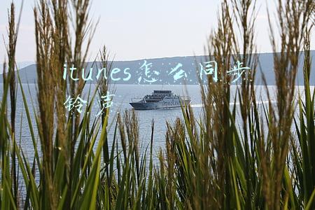 itunes导入铃声(为你的iphone设置自定义铃声 iTunes自制铃声教程)