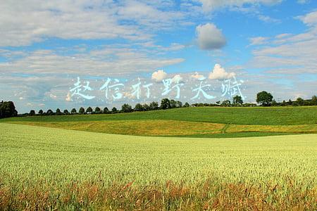 赵信打野天赋