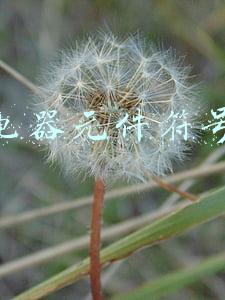 ks是什么电器元件符号(电气设计图纸中各字母符号的含义)