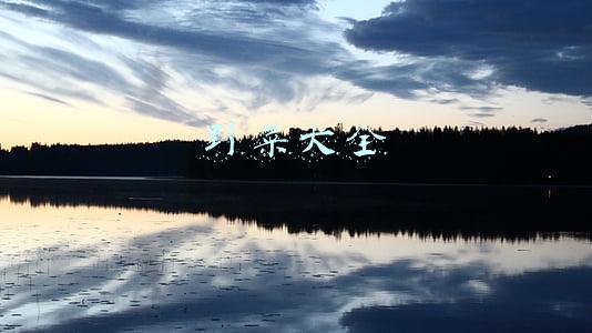 野菜大全图片及名称(69种野菜大图片，你想要的野菜这里都有，带你轻松识别各种野菜)