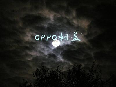oppo翻盖折叠手机(华为发布P50 pocket折叠屏手机，采用翻盖方式，类似三星Z Flip)