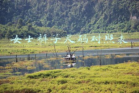 女士裤子尺码对照表图及体重(今日分享｜衣服、裤子、鞋子、文胸尺码对照表，太实用了！)