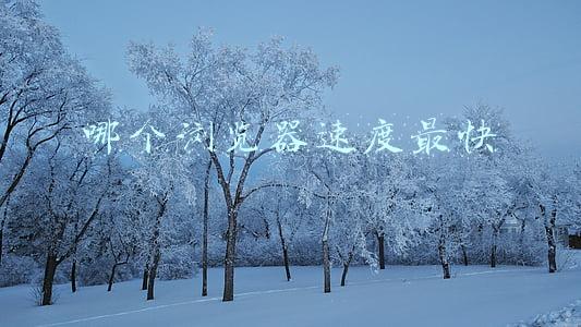 哪个浏览器速度最快(启动速度提升25.8% Chrome在Windows上运行得更快了)