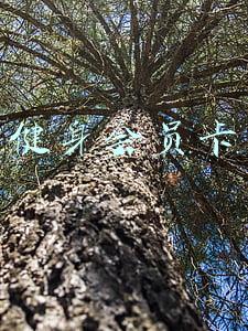 健身会员卡多少钱(办了一张健身房的“百元8次”会员卡，你说到底划不划算？)