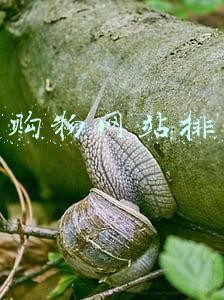 服装购物网站排行榜