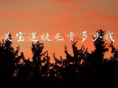 美宝莲睫毛膏多少钱
