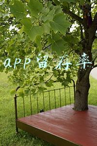 app留存率