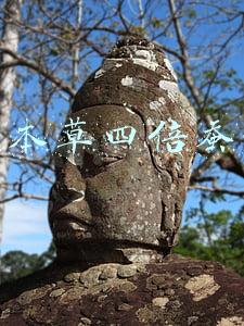 相宜本草四倍蚕丝霜