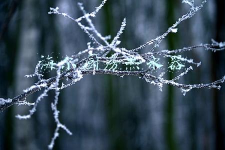 海尔厨房热水器
