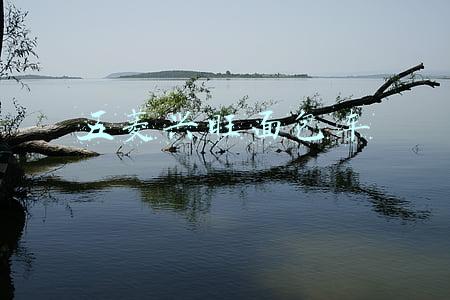 五菱兴旺面包车最漂亮改装(五菱荣光S！！！)