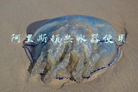阿里斯顿热水器使用