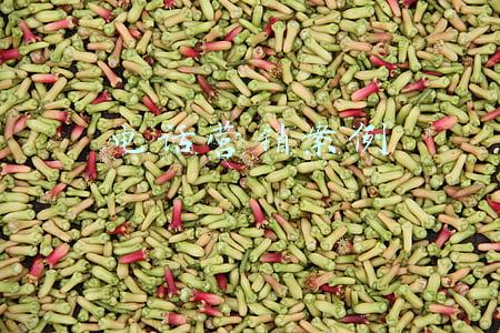 银行电话营销案例(电销“猫腻”：话术能定制、一天打千次还不封号？)