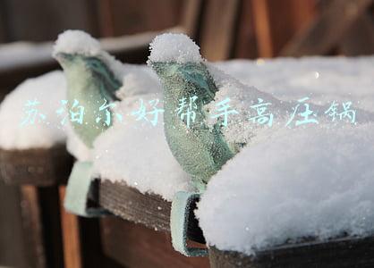 苏泊尔好帮手高压锅